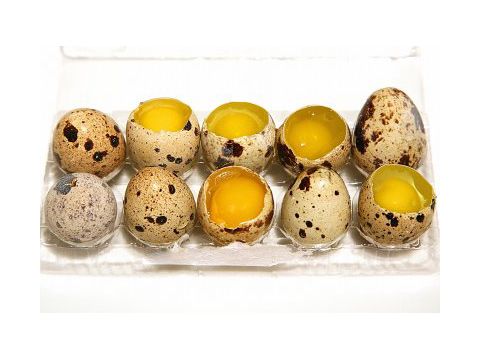 Ad:  ymurta3.jpg
Gsterim: 22240
Boyut:  25.7 KB