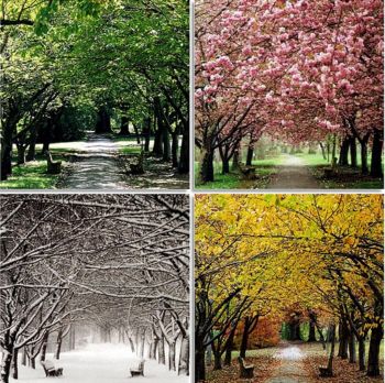 Ad:  mevsim7.jpg
Gsterim: 5424
Boyut:  51.3 KB