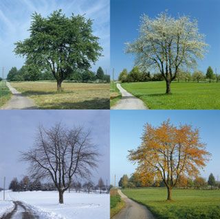 Ad:  mevsim2.jpg
Gsterim: 5843
Boyut:  24.9 KB