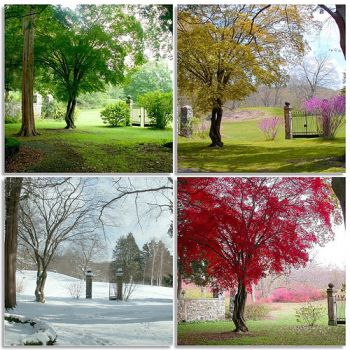 Ad:  mevsim4.jpg
Gsterim: 5410
Boyut:  42.2 KB