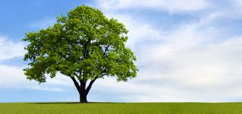 Ad:  aa1.jpg
Gsterim: 919
Boyut:  26.5 KB