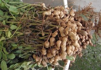 Ad:  yer3.jpg
Gsterim: 6429
Boyut:  26.3 KB