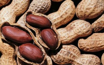 Ad:  yer4.JPG
Gsterim: 2927
Boyut:  30.9 KB