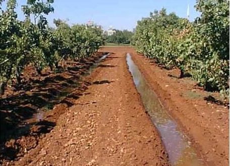 Ad:  sulama.JPG
Gsterim: 4962
Boyut:  48.7 KB