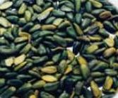 Ad:  i.JPG
Gsterim: 2261
Boyut:  14.7 KB