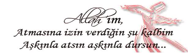 Ad:  ak.jpg
Gsterim: 2683
Boyut:  17.1 KB