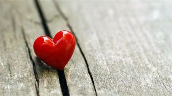 Ad:  ak1.jpg
Gsterim: 1815
Boyut:  12.8 KB