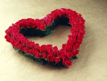 Ad:  ak3.jpg
Gsterim: 1096
Boyut:  17.8 KB