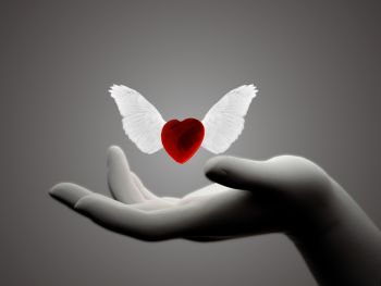 Ad:  ak5.jpg
Gsterim: 1085
Boyut:  6.8 KB