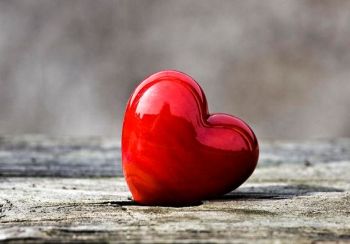 Ad:  ak7.JPG
Gsterim: 1535
Boyut:  20.4 KB