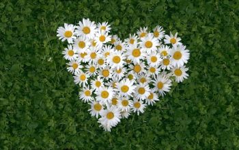 Ad: aşk14.jpg
Gösterim: 328
Boyut: 24.0 KB