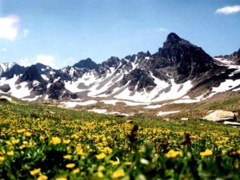 Ad:  da3.jpg
Gsterim: 6440
Boyut:  26.3 KB