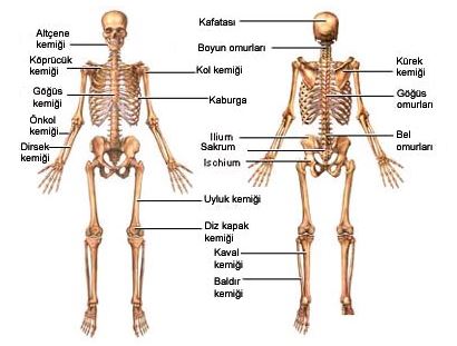Ad: is7.JPG
Gösterim: 2072
Boyut: 31.1 KB