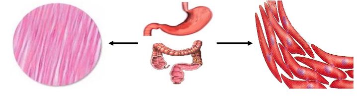 Al�nt�daki Ek 48131