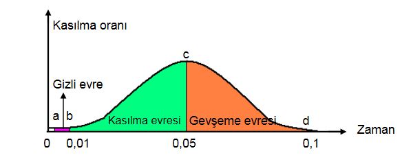 Ad: ks1.JPG
Gösterim: 6215
Boyut: 21.8 KB