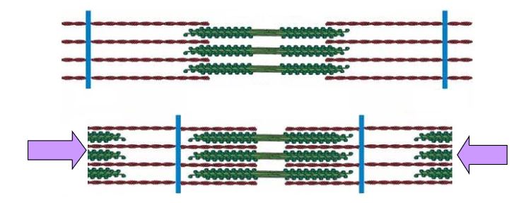 Ad: ks6.JPG
Gösterim: 6111
Boyut: 41.9 KB