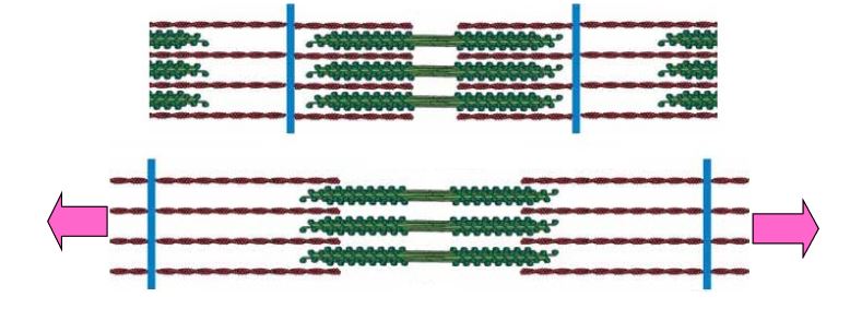 Al�nt�daki Ek 48144