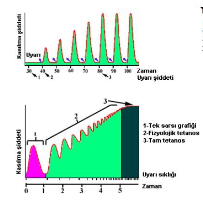 Ad: ks2.JPG
Gösterim: 6629
Boyut: 29.6 KB