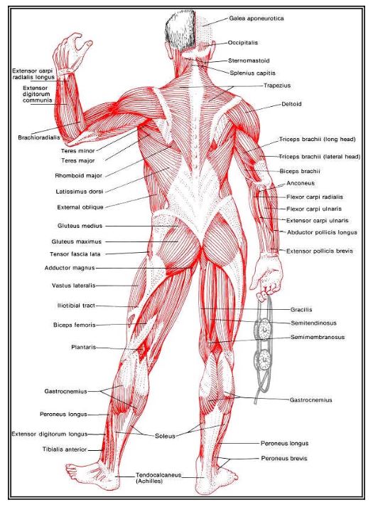 Ad: k5.JPG
Gösterim: 7259
Boyut: 86.8 KB
