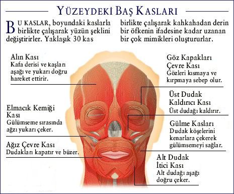 Al�nt�daki Ek 48157