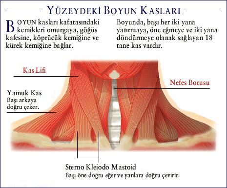 Ad:  k6.JPG
Gsterim: 4189
Boyut:  39.3 KB