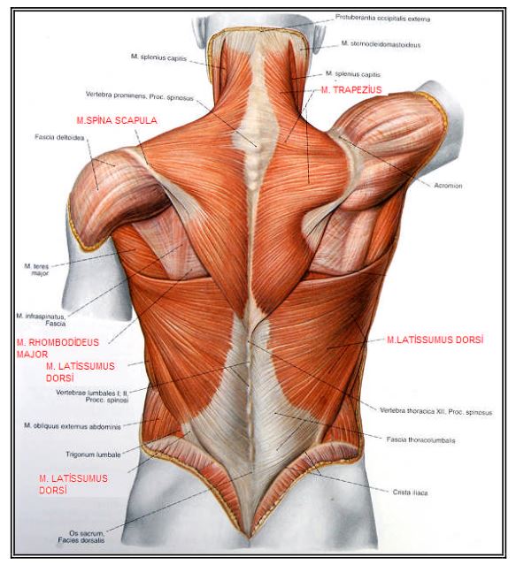 Ad:  k8.JPG
Gsterim: 8395
Boyut:  74.0 KB