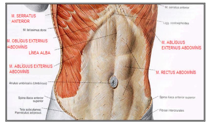 Al�nt�daki Ek 48160