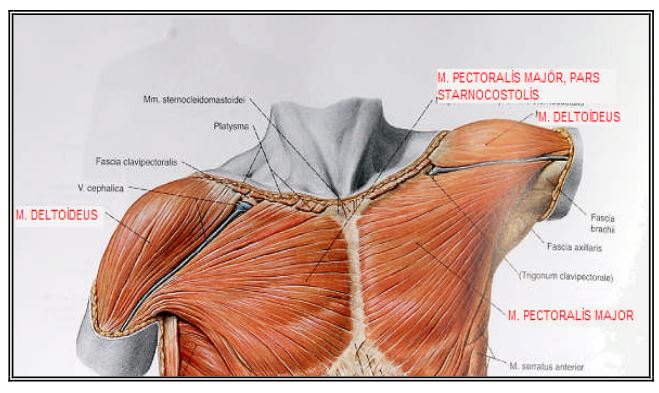 Al�nt�daki Ek 48161