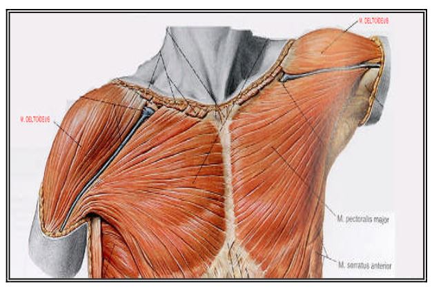 Al�nt�daki Ek 48162