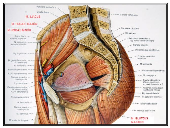 Al�nt�daki Ek 48167