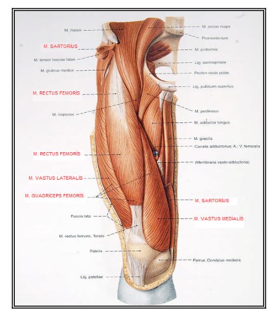 Ad:  ks16.JPG
Gsterim: 3070
Boyut:  58.8 KB
