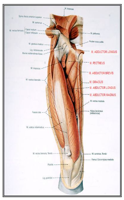 Al�nt�daki Ek 48170