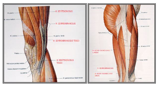 Ad:  ks18.JPG
Gsterim: 2246
Boyut:  51.0 KB
