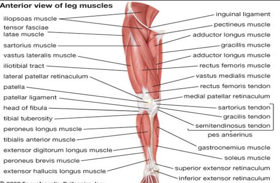 Al�nt�daki Ek 48174