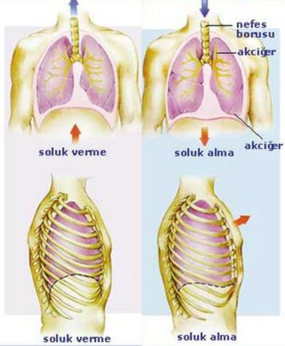 Ad:  nefes2.jpg
Gsterim: 13066
Boyut:  31.2 KB