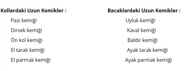 Ad:  kem.JPG
Gsterim: 9928
Boyut:  25.1 KB