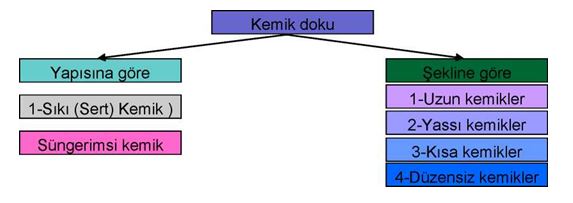 Ad:  kem1.JPG
Gsterim: 9502
Boyut:  24.6 KB