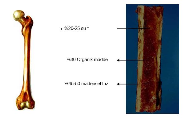 Ad:  kem2.JPG
Gsterim: 9443
Boyut:  28.9 KB