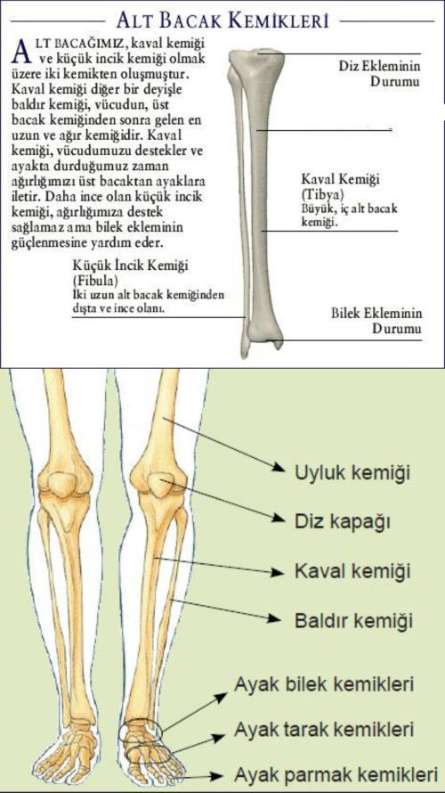 Ad:  altayak.jpg
Gsterim: 12381
Boyut:  73.2 KB
