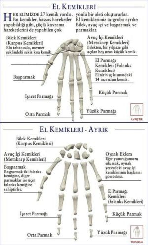 Ad:  elk.jpg
Gsterim: 14500
Boyut:  33.8 KB