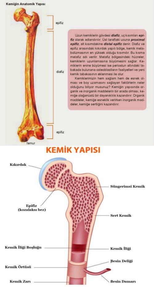 Ad:  kyap.jpg
Gsterim: 14641
Boyut:  58.4 KB