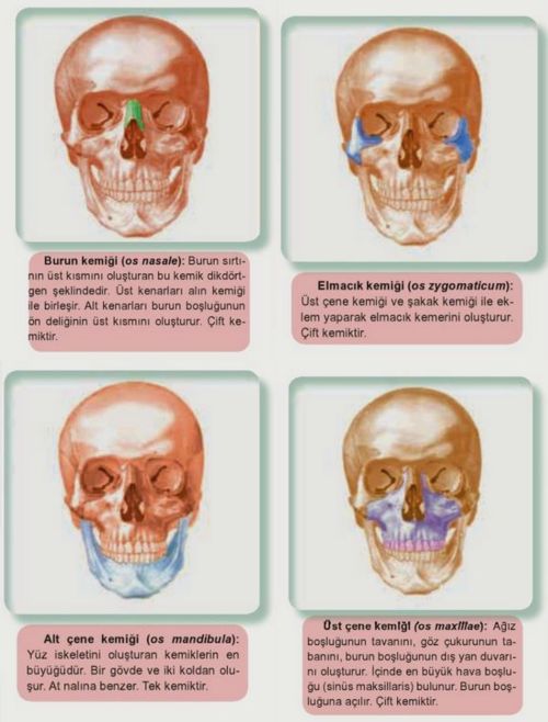 Ad:  yzk1.jpg
Gsterim: 1436
Boyut:  49.7 KB