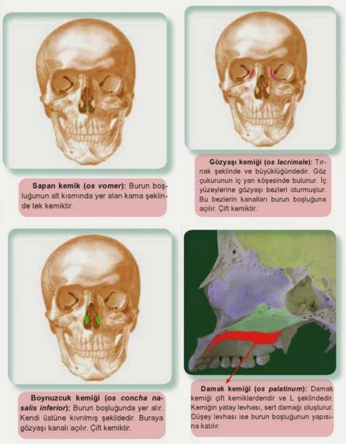 Ad:  yzk2.jpg
Gsterim: 1114
Boyut:  49.3 KB