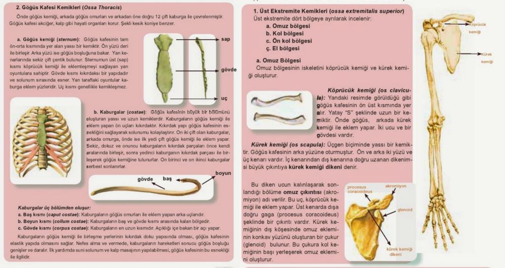 Ad:  gvde kim.jpg
Gsterim: 1133
Boyut:  103.7 KB