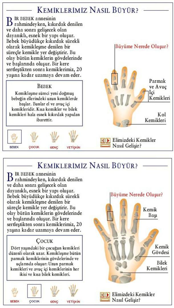Ad:  elk1.jpg
Gsterim: 1491
Boyut:  107.5 KB
