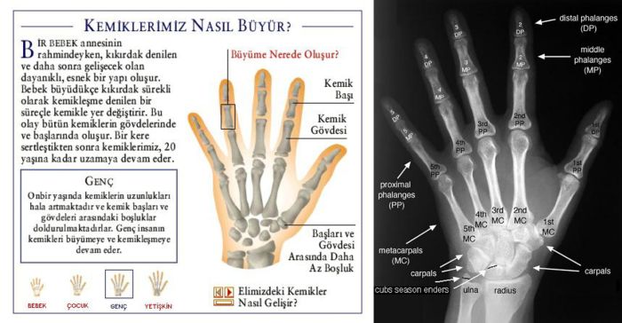 Ad:  elk2.jpg
Gsterim: 1631
Boyut:  51.4 KB