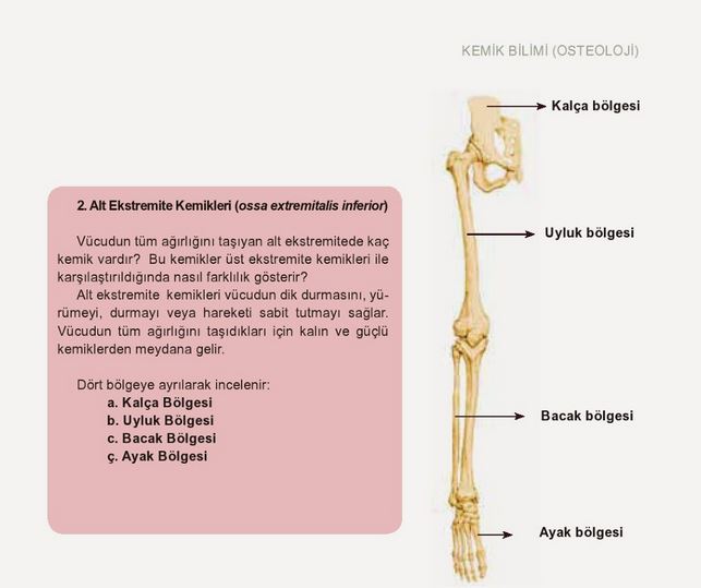 Ad:  k13.JPG
Gsterim: 2731
Boyut:  43.0 KB