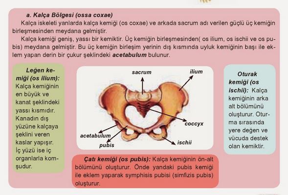 Ad:  k14.JPG
Gsterim: 1221
Boyut:  58.3 KB