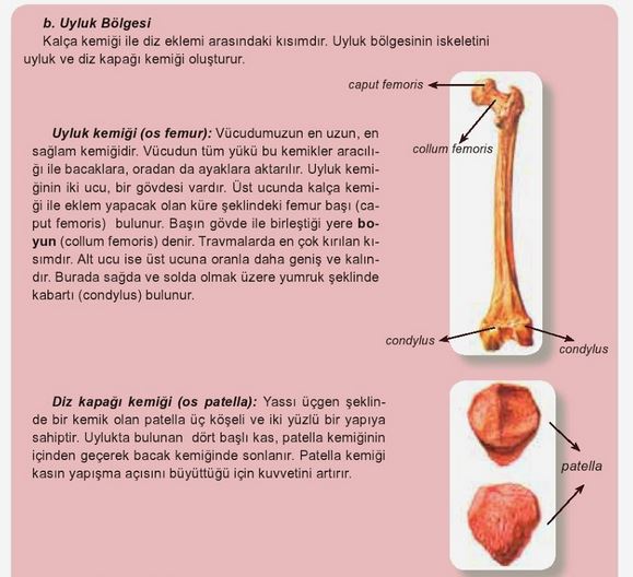 Ad:  k15.JPG
Gsterim: 1389
Boyut:  60.8 KB