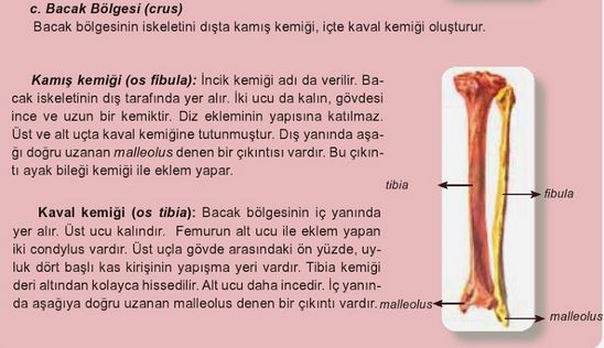 Ad:  k16.JPG
Gsterim: 1646
Boyut:  44.7 KB